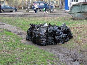 Фото к Чистая роща