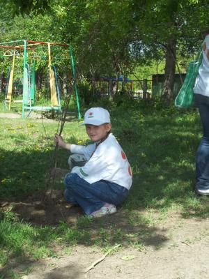 Фото к Атомщики и экологи заложили Аллею Славы