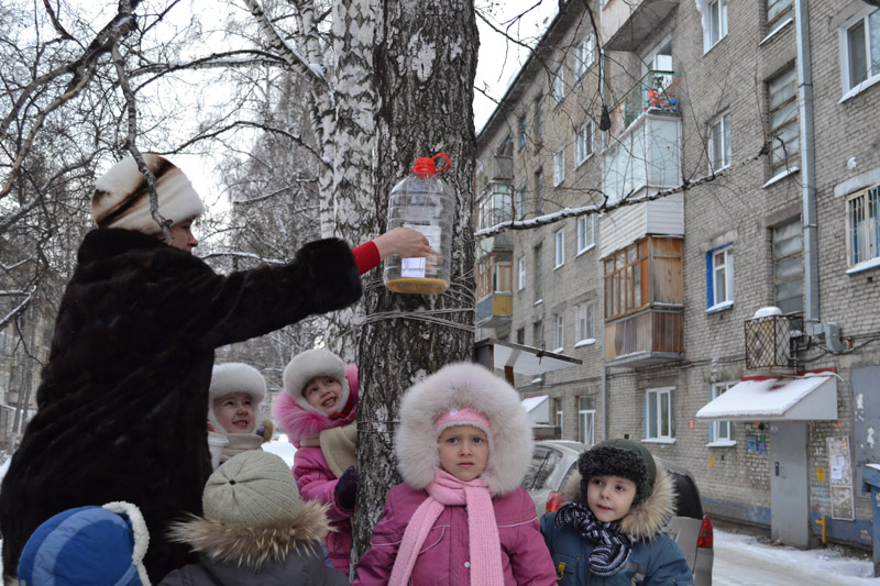 Фото к Покормите птиц зимой!