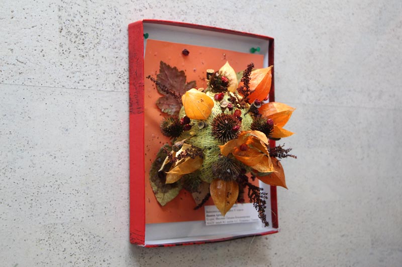 Фото к В томском информационном центре по атомной энергии открылась выставка «Зимний букет»