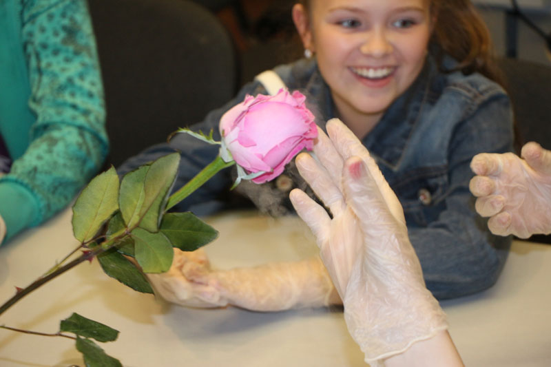 Фото к «ФИКСИруй опыт» для бакчарских школьников.