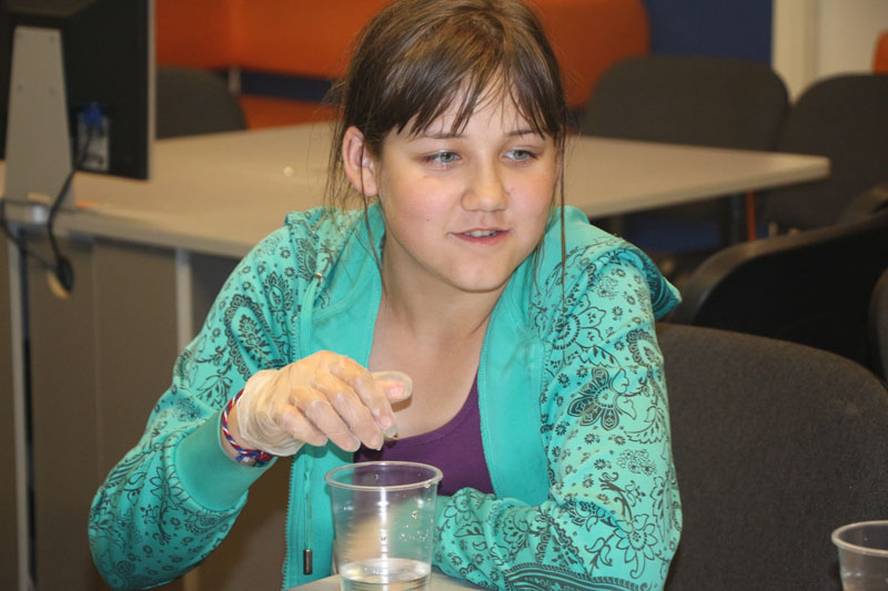 Фото к «ФИКСИруй опыт» для бакчарских школьников.