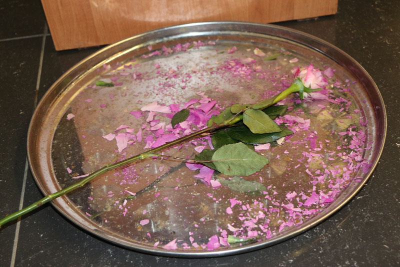 Фото к «ФИКСИруй опыт» для бакчарских школьников.