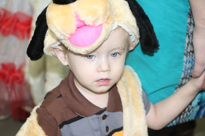 Фото к  «Научная елка» : новогодний праздник для детей из многодетных семей