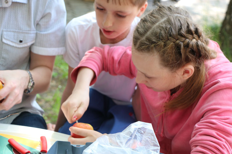 Фото к Праздник в Городском саду в честь Дня защиты детей