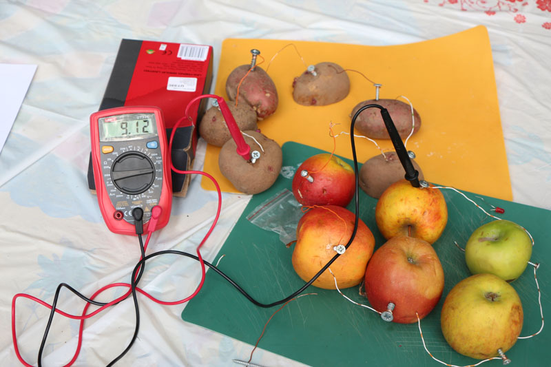 Фото к Праздник в Городском саду в честь Дня защиты детей