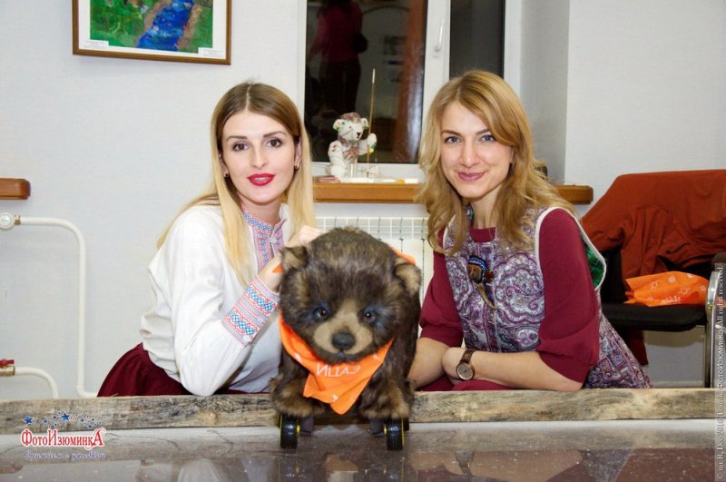 Фото к В Томске стартовал «Медвежий фестиваль
